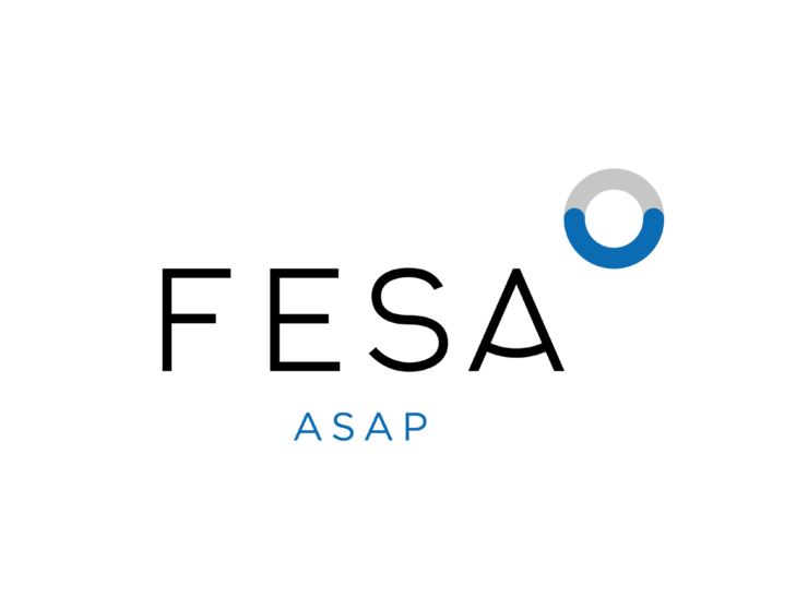 About Us – FESA Group